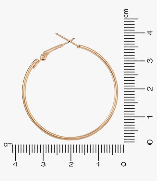 Earring Hoops