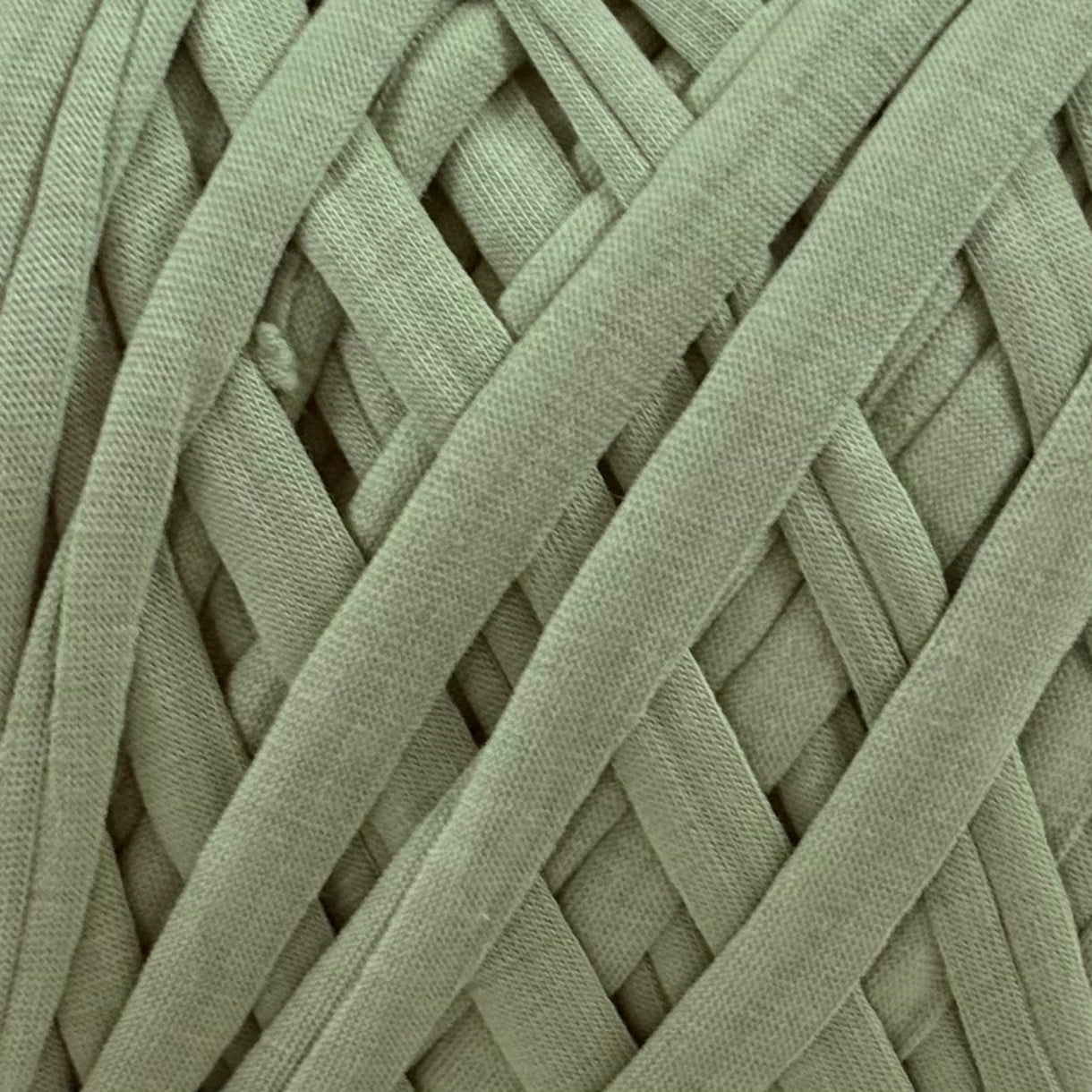 T-Shirt Yarn (500g) - 14 Pesta