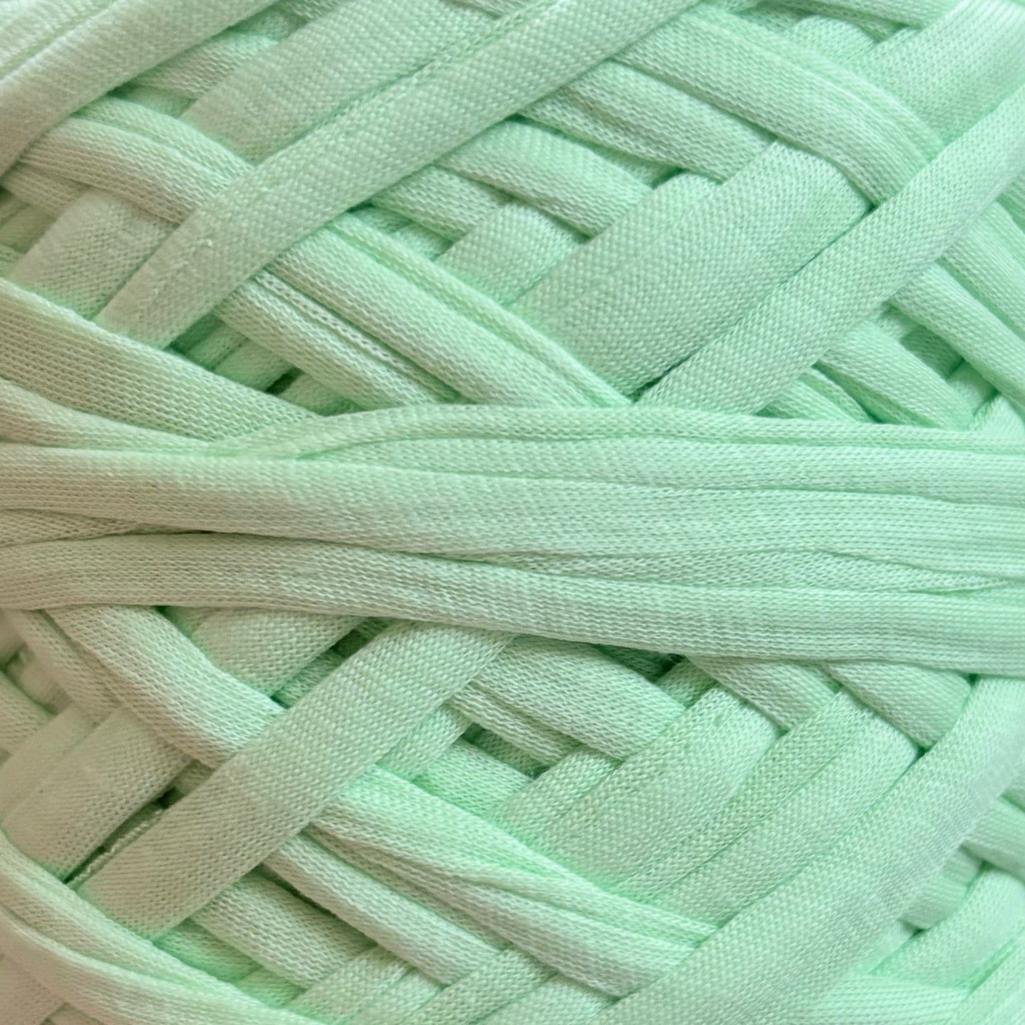 T-Shirt Yarn (500g) - 56 Pesta