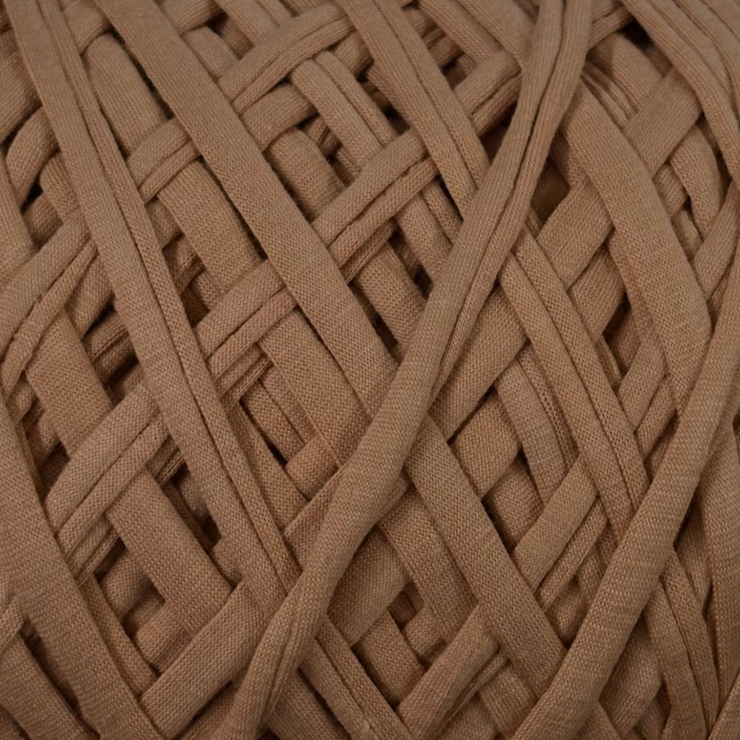 T-Shirt Yarn (500g) - 55 Beige